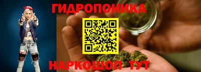 jwh Краснодар