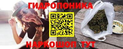 шишки Краснознаменск