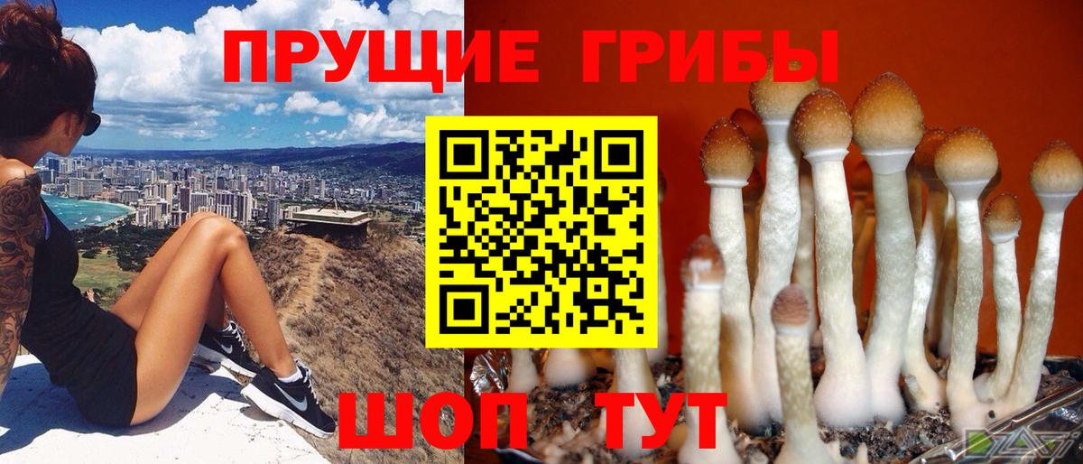 Киров  Галлюциногенные грибы MAGIC MUSHROOMS  Вход с VPN 
