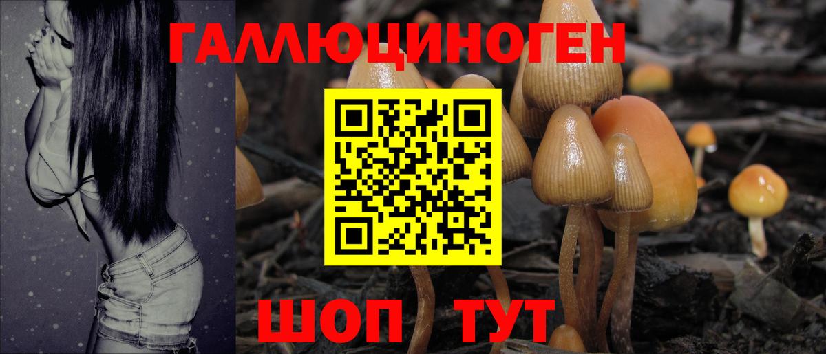 Псилоцибиновые грибы мицелий Киров